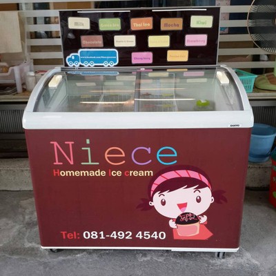 Niece Homemade Ice Cream